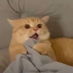 우주님의 프로필 이미지