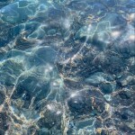 .님의 프로필 이미지