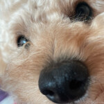 순덕순덕님의 프로필 이미지