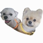 미쥬르님의 프로필 이미지