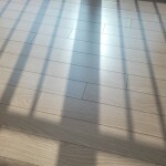 어흥님의 프로필 이미지