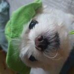 이순분님의 프로필 이미지