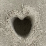 Bomi님의 프로필 이미지