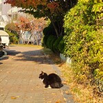 김서진님의 프로필 이미지