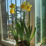 봄날의햇살님의 프로필 이미지