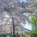 써니욤❤️님의 프로필 이미지