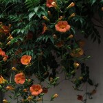 옹님의 프로필 이미지