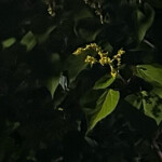 감귤님의 프로필 이미지