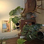 강은경님의 프로필 이미지