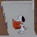 지금독서님의 프로필 이미지