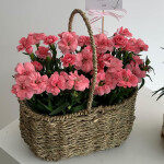 smsmsm님의 프로필 이미지