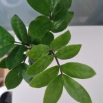 책읽으면두통님의 프로필 이미지