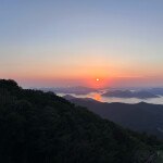 요다요님의 프로필 이미지