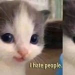 Mi님의 프로필 이미지