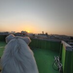 곰동진님의 프로필 이미지