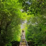 바람별님의 프로필 이미지