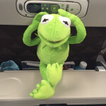 타조님의 프로필 이미지