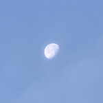 나비님의 프로필 이미지