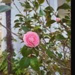 달렛님의 프로필 이미지