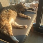 곽혜정님의 프로필 이미지