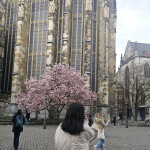 짱가님의 프로필 이미지