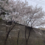 u25371512님의 프로필 이미지