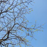 날위한나님의 프로필 이미지