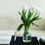 Cuteduck님의 프로필 이미지