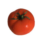 토마토브로콜리님의 프로필 이미지