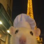 횬님의 프로필 이미지