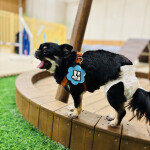 제이스님의 프로필 이미지