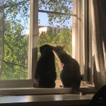 우주님의 프로필 이미지