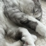 글린님의 프로필 이미지