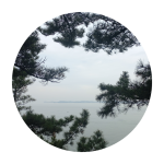 김우솔님의 프로필 이미지