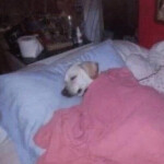 잇션님의 프로필 이미지