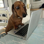 흠냐룽님의 프로필 이미지