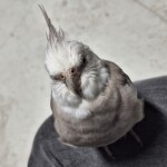 강동근님의 프로필 이미지