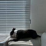 로톰님의 프로필 이미지