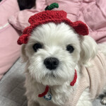 콩진님의 프로필 이미지