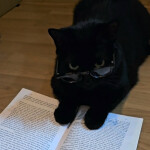 먀갸님의 프로필 이미지