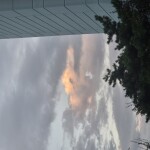 여니님의 프로필 이미지