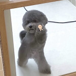 스리님의 프로필 이미지