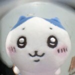 우왕님의 프로필 이미지