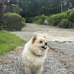 리리님의 프로필 이미지