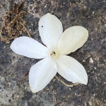 시농님의 프로필 이미지