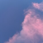 쓸님의 프로필 이미지