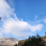 유종분님의 프로필 이미지