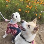 지동개님의 프로필 이미지