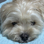 황수미님의 프로필 이미지