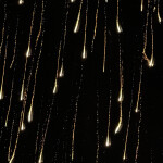 니케님의 프로필 이미지